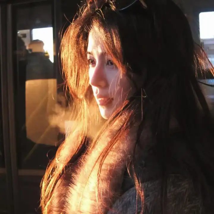 海岸猎鹰